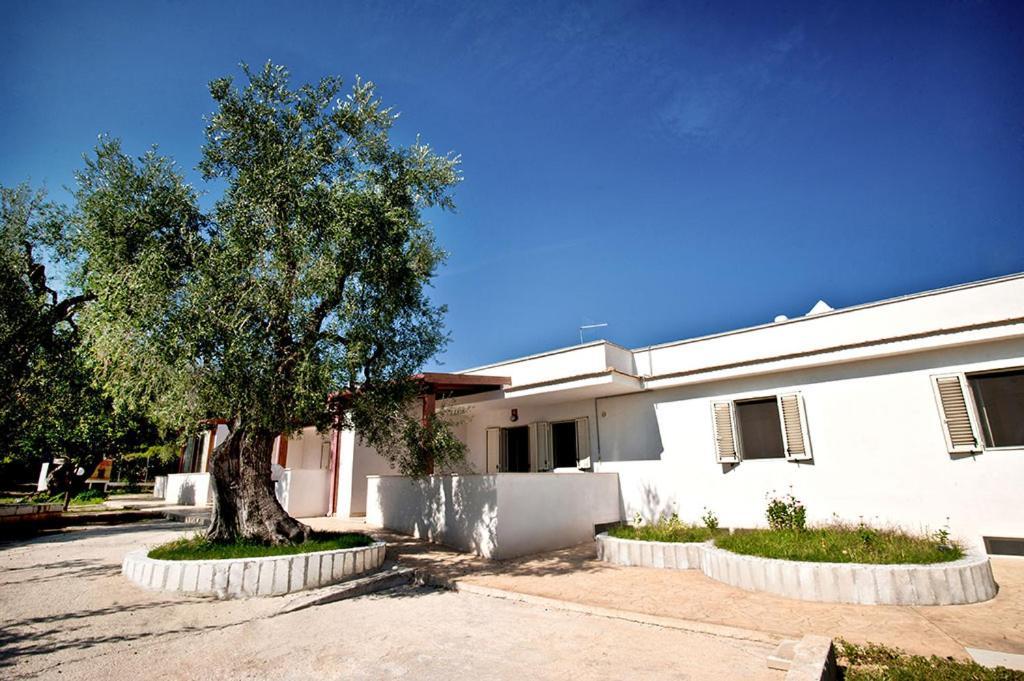Felicity Vieste Exterior foto